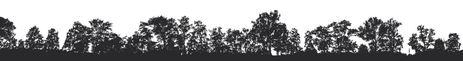 Silhouette tree graphic for it was something web design studio