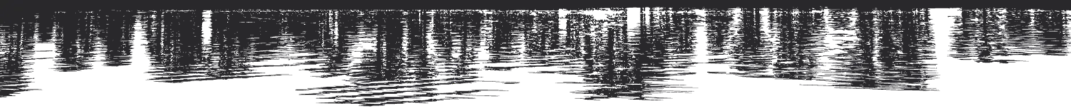 Silhouette tree reflection graphic for it was something web design studio