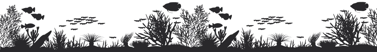 Sea floor graphic for it was something web design