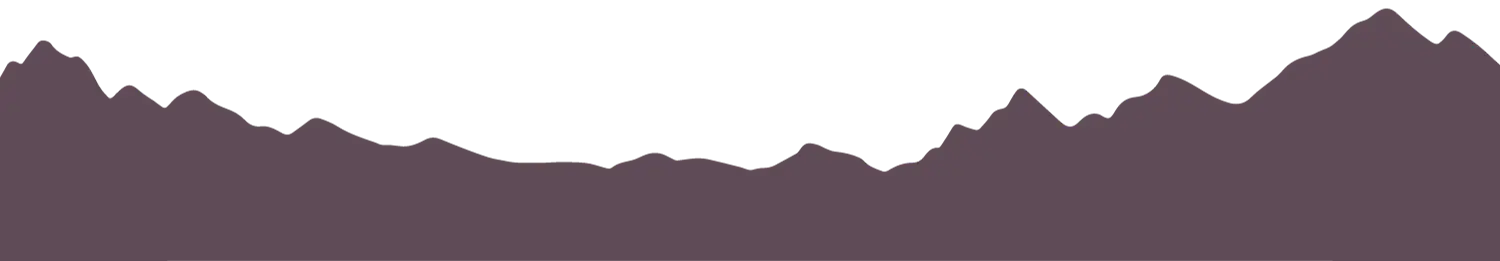 Mountain Valley silhouette graphic for it was something