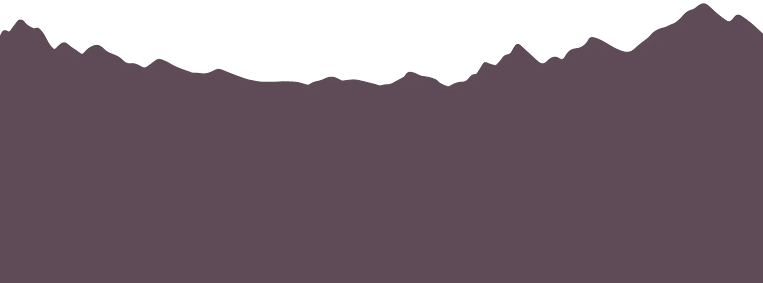 Mountain Valley silhouette graphic for it was something