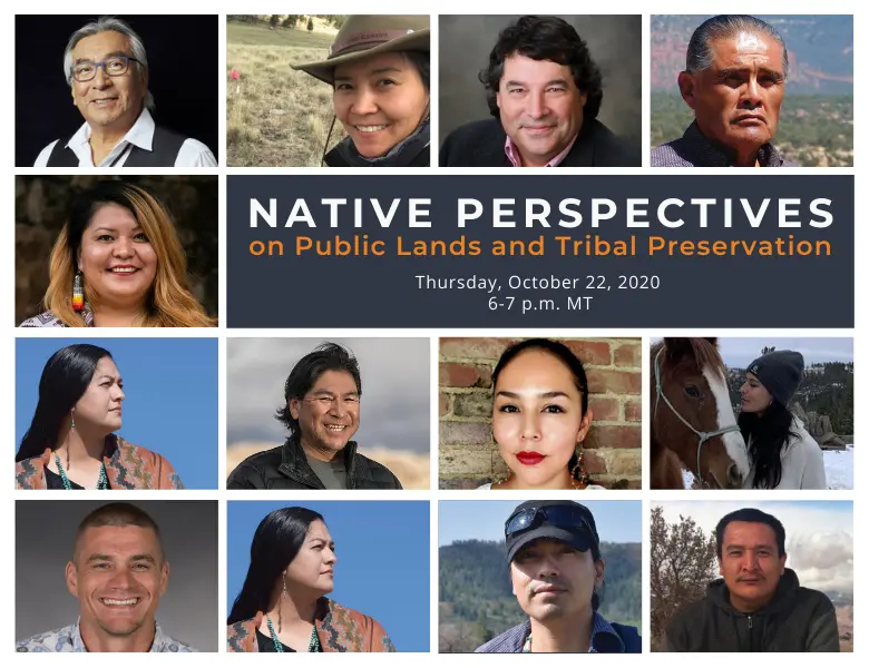 Native Perspectives Online Event Poster