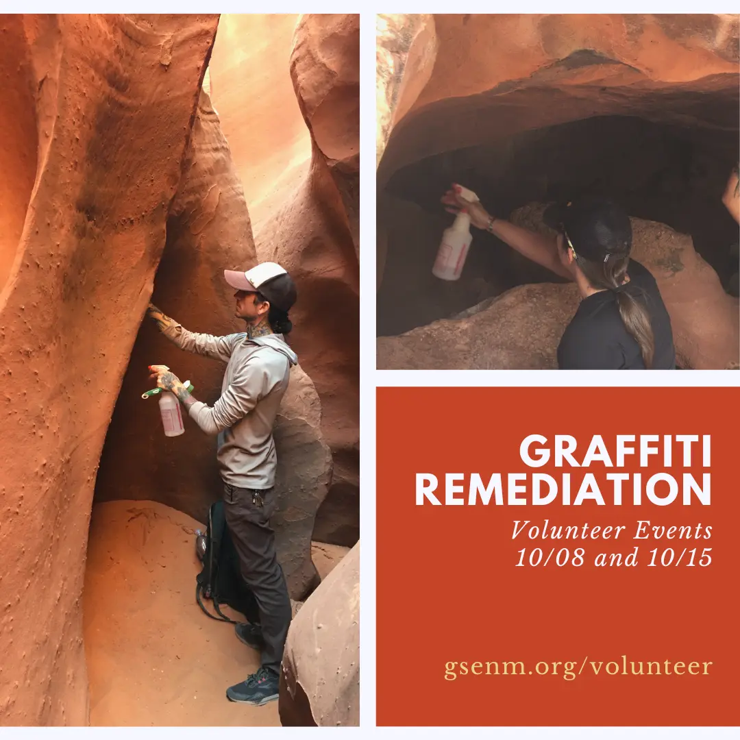 Graffiti Remediation invitation.