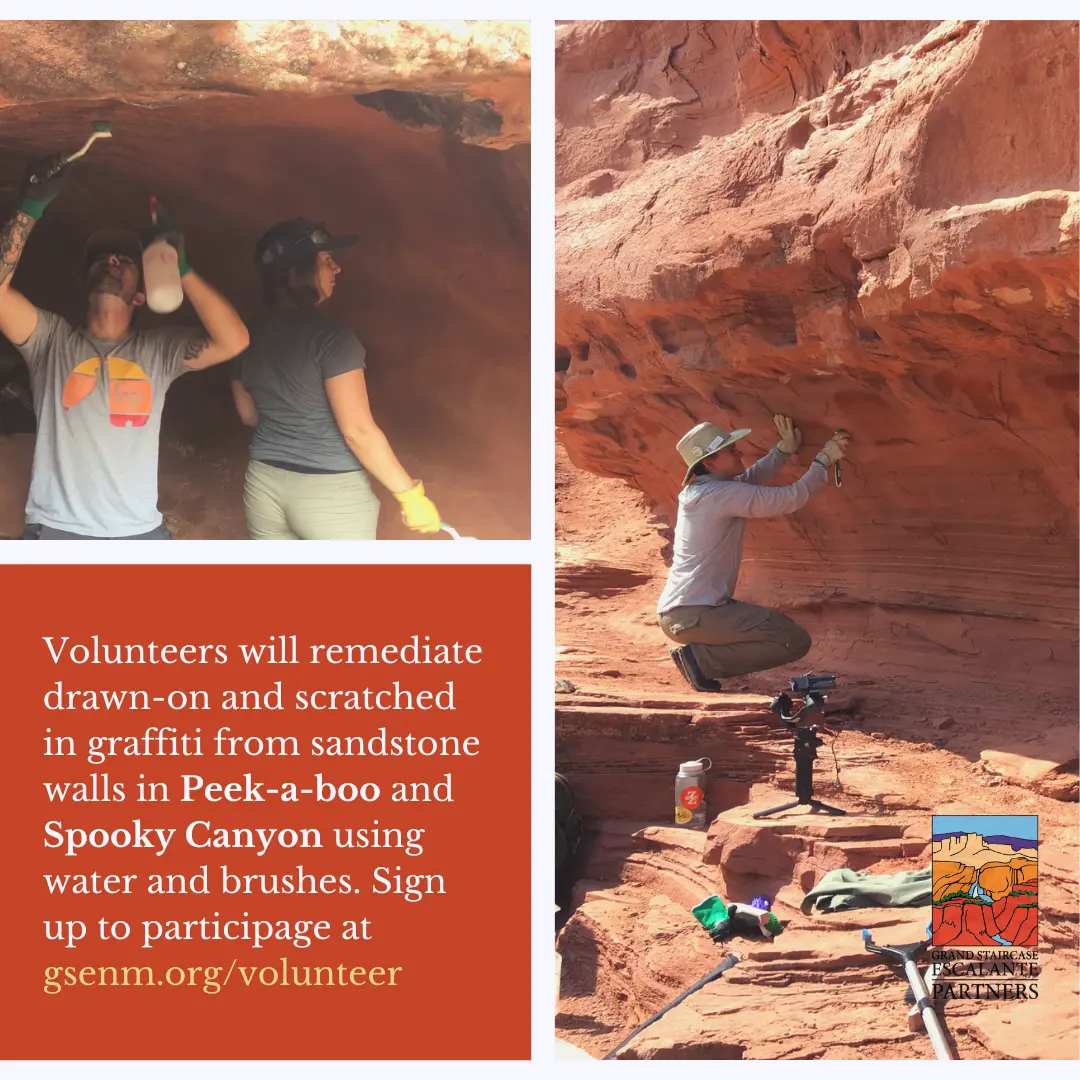 Graffiti Remediation volunteer information.