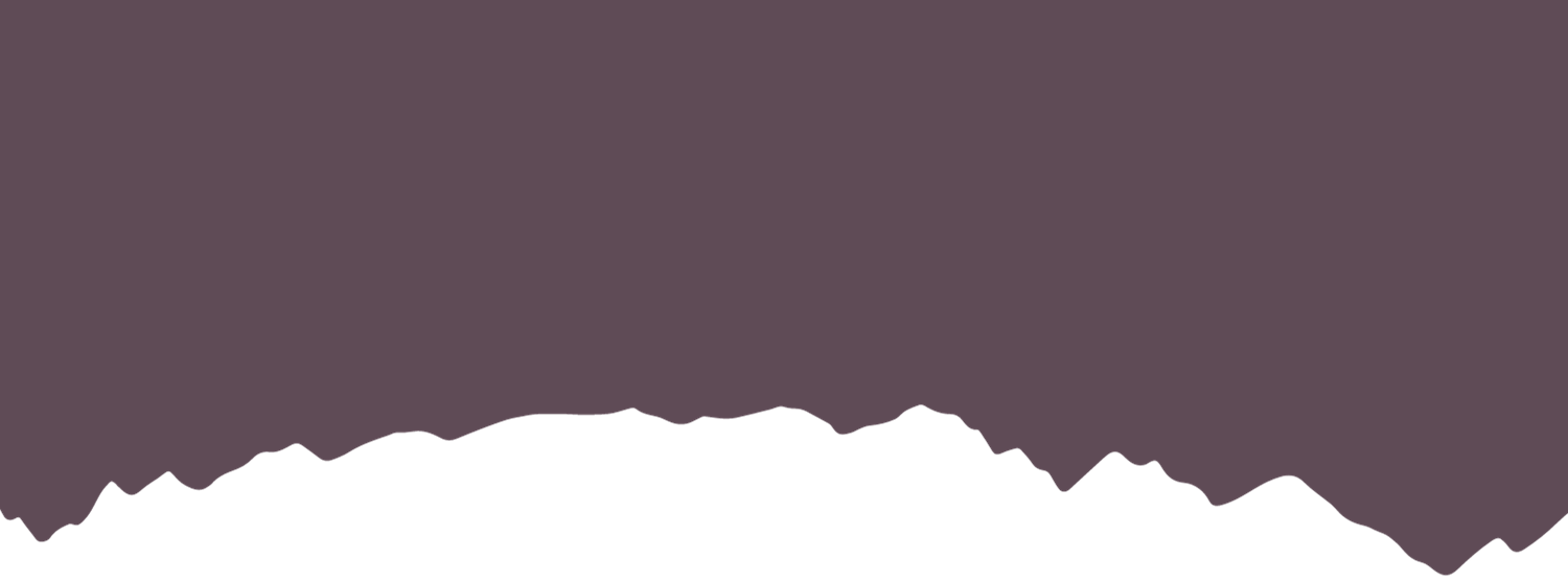 Mountain Valley silhouette graphic for it was something