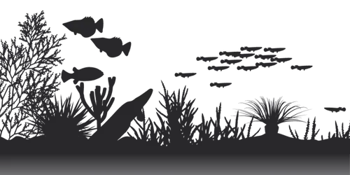 Sea floor graphic for it was something web design