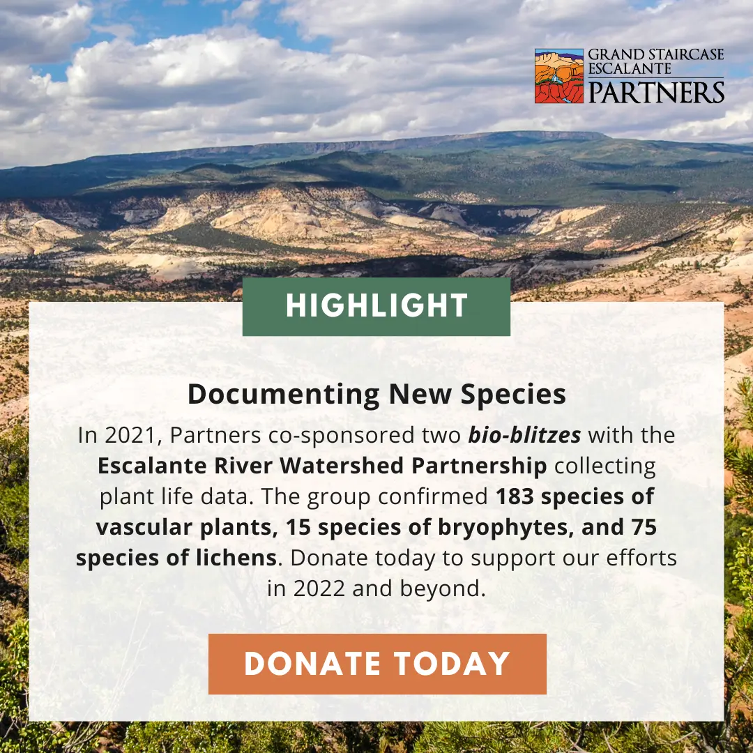 "Year-end Campaign: Restoration" social media marketing with highlight of the monument.