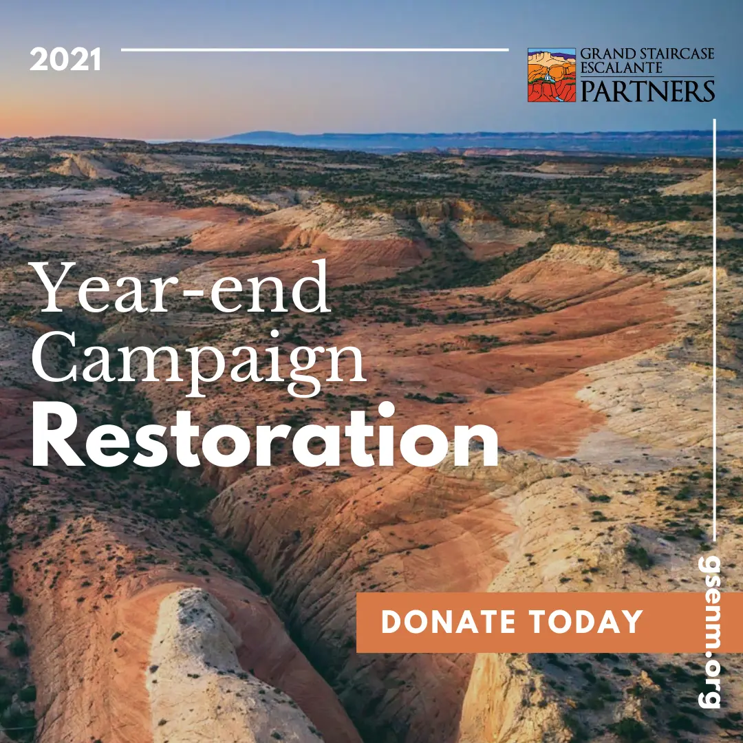 "Year-end Campaign: Restoration" social media marketing.